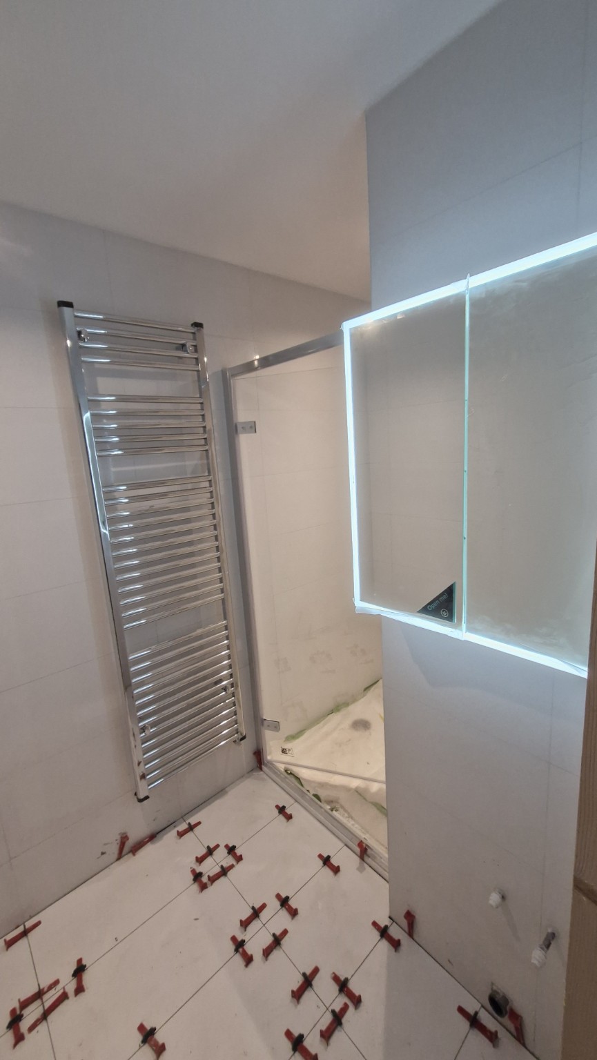 Shower area and illuminated mirror during fitting