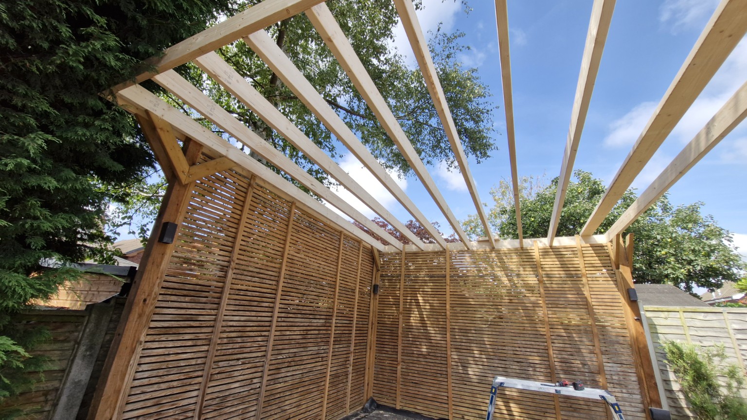 New roof joists viewed from underneath